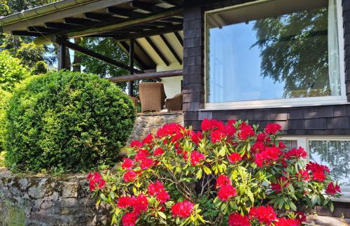 Ferienhaus Vogelsbergblick, Fernblick, Sauna, Kamin, 1700m eingezäunt in Alleinlage - Foto 79