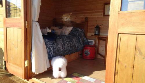 The Lazy Shepherd - Foto 3