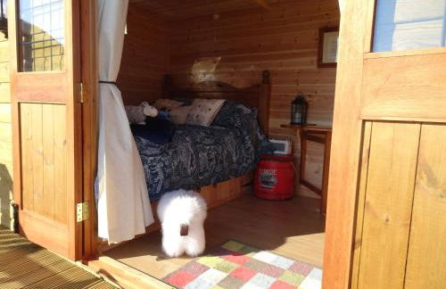 The Lazy Shepherd - Foto 3