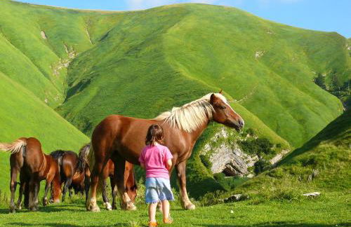 Agroturismo Mari Cruz - Foto 54