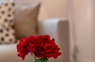 Goethe Palais Suite Zauberlehrling 4P l Lift l Parkplatz I Zentrum I Helios - Photo 14