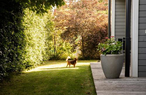 Niebieski Kamyk - Foto 51