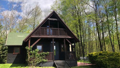 Domek Pod Lasem - Foto 3