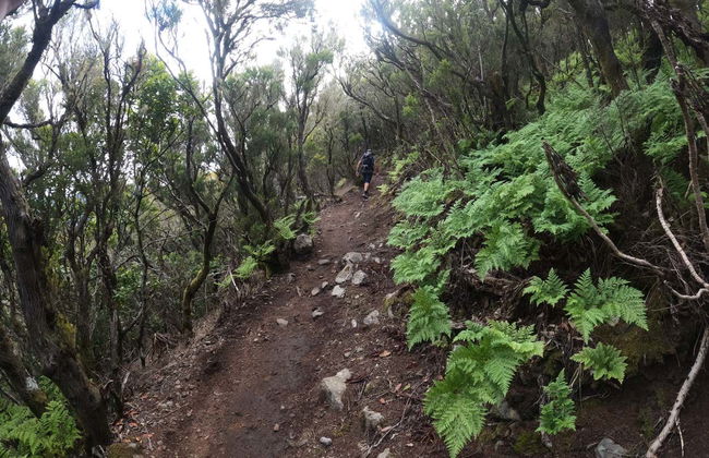 Senderismo por el interior del Parque Rural de Teno - Foto 6