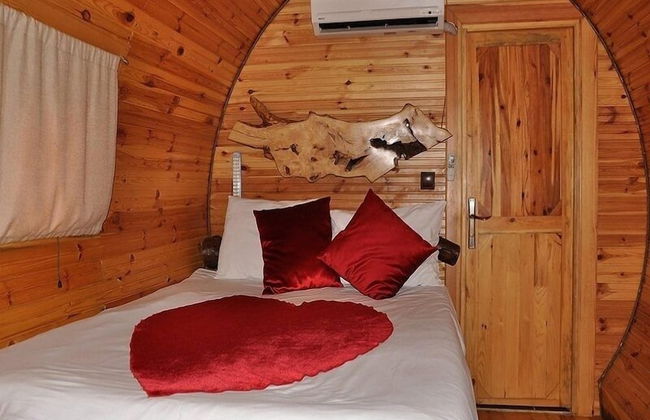 Nirvana New World Hotel Agva - Foto 2