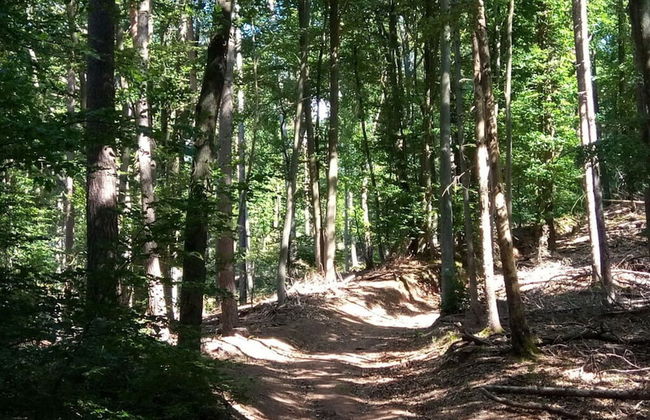 Holiday Apartment Lautertalblick - Photo 20