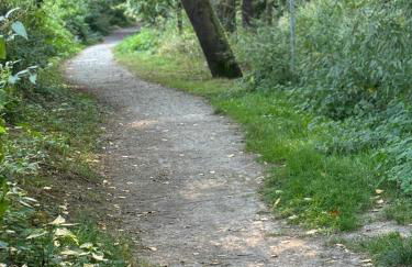 schöne Einliegerwohnung mit Stellplatz - Foto 16