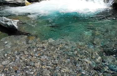 Da Gigi e Laura - Foto 33