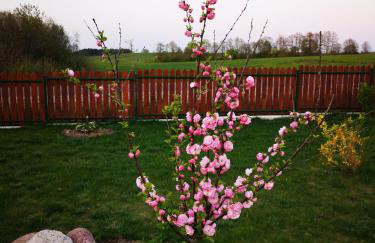 Mazurski Staw - Foto 53