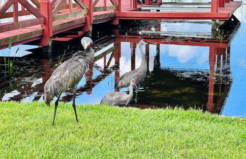 LakeSide Story - Foto 64