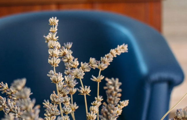 Apartments Kairos - Foto 2