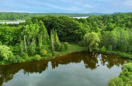 Enchanted Forest Cabin - Foto 10