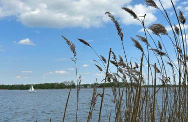 Masuria Warsaw - dom na wyłączność - w lesie i przy rzece - 15 min od Warszawy - Foto 50