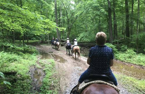 Romantic Cabin w Hot Tub Near Carbondale - Foto 36