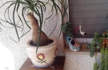 Apartments Rinčić - Photo 76