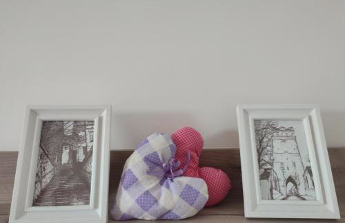 Lawendowo- sauna, jacuzzi, domki w ogrodzie i apartamenty w kamienicy - Photo 49