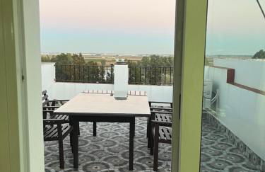 ESTUDIO LAS PALMILLAS - Foto 18