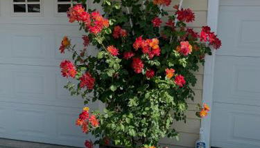 Warm and Inviting - Foto 2