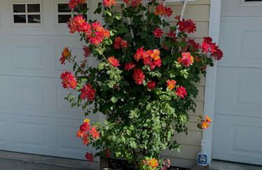 Warm and Inviting - Foto 2