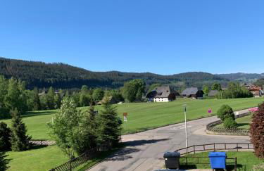 Ferienwohnung Homburger - Titisee - Foto 7