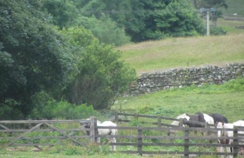 7 Front Street - Foto 15