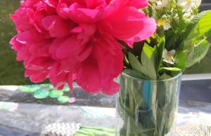 L'écureuil parisien Maison de charme avec jardin proche Paris - Foto 23