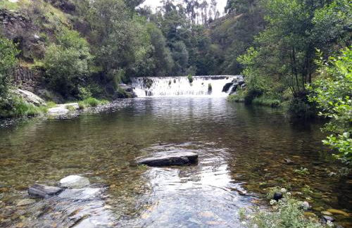 Casa D.Dinis - Foto 36