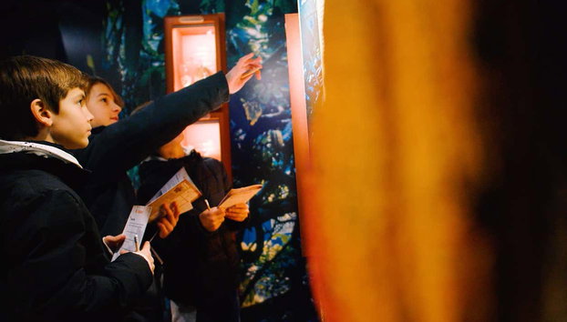 Entrada al museo Choco Story de París - Foto 4, Disfrutando del Choco Story Paris