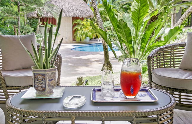 Beautiful Villa Tortuga at Puntacana Resort Club Pool Garden Golf Cart Maid - Photo 46