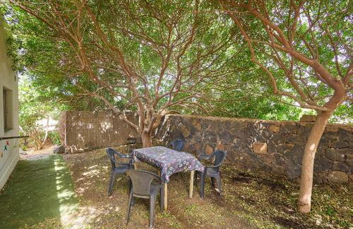 Molino de el Roque - Foto 25