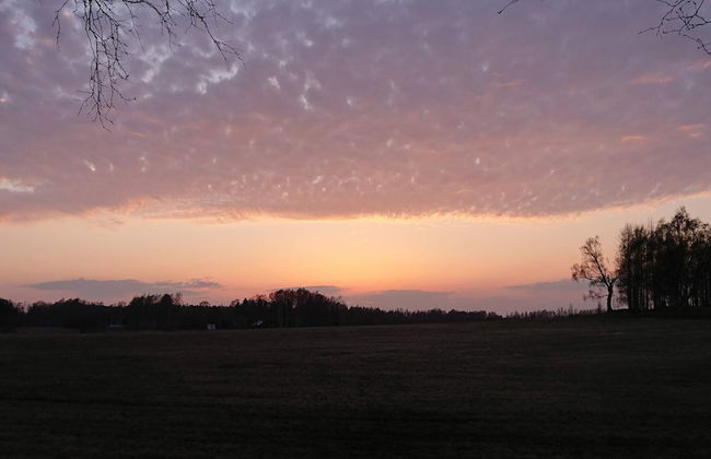 6 Person Holiday Home in Hammaro-by Traum - Foto 11