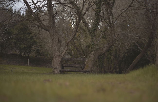 CABAÑAS O RECUNCHO DO SOR - Foto 53