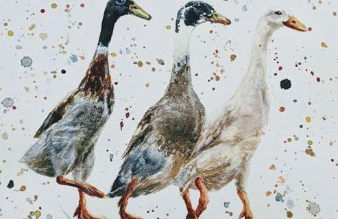 The Piggery - Foto 23