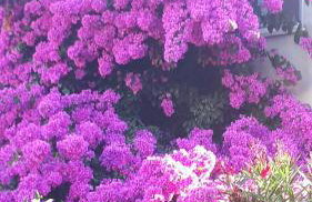 Apartment Lara - Foto 1