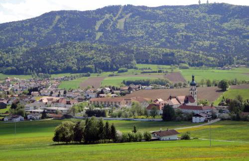 Gasthof Zum Wirt Ferienwohnung Hohenbogenblick - Foto 46