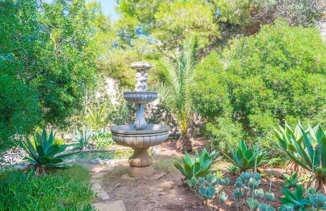 Sa Roqueta in Alc dia - Foto 24