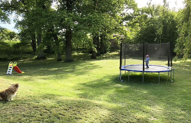 Holiday Home Deichkind on the Elbe Dike - Foto 18