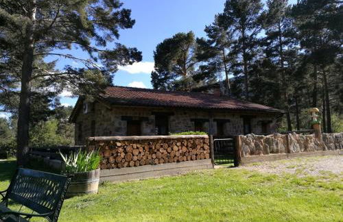 Los Ranchales Vinuesa - Foto 5