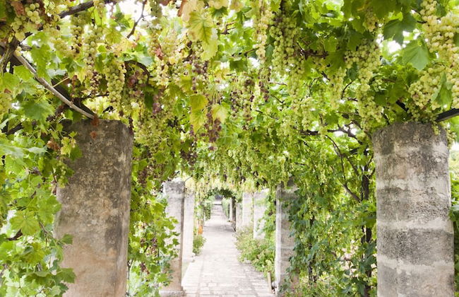 Casina Dei Preti - Foto 74