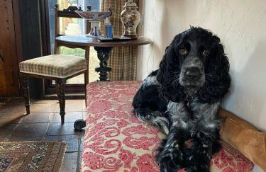 The Old Workhouse Paddocks - Foto 31