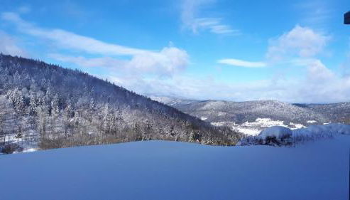 Ferienapartment 38 Sonnenwald - Photo 3