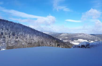 Ferienapartment 38 Sonnenwald - Foto 3