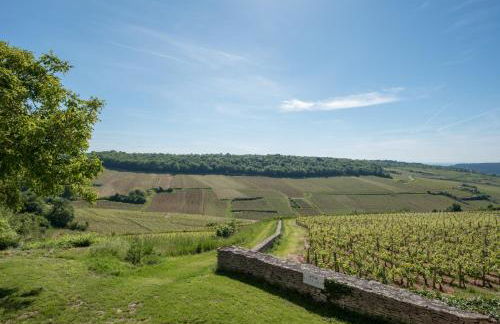 Chez Joseph - Au coeur des vignes de Saint-Romain - Foto 15
