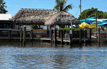 Navy Flamingo - Foto 32