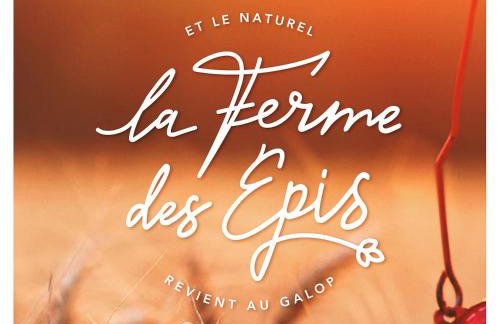 La Ferme des Épis - Foto 41