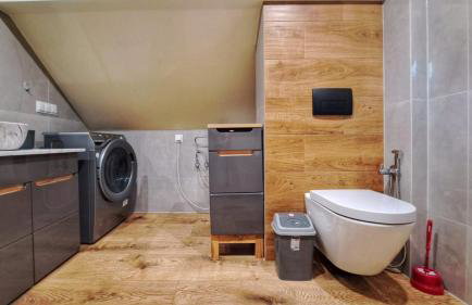 Ranczo Bieszczady duży Domek z Jacuzzi i Sauną - Foto 35