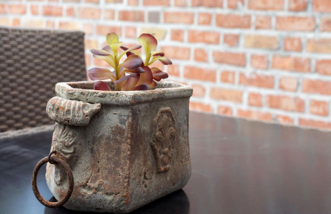 Modern Villa w/ Private Yard - Foto 36