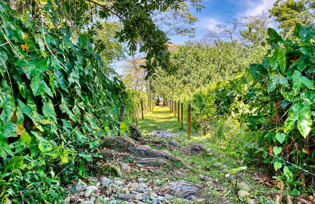 Villas Piña - Adults Only - Foto 15