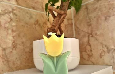 Olive tree's house - Foto 17