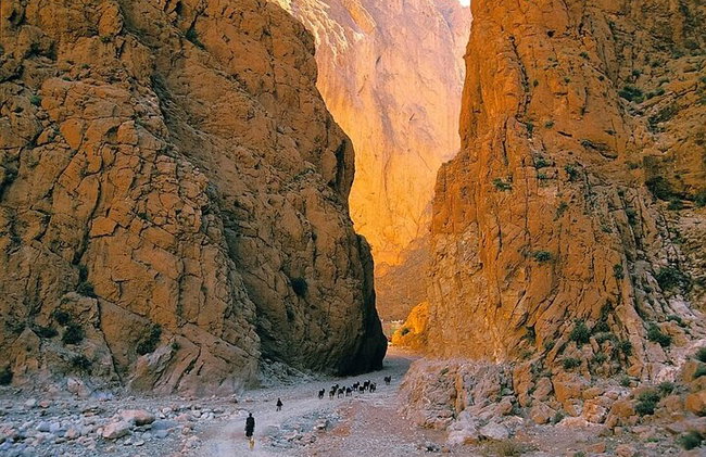 Aventura "Marrakech y Desierto" de 7 días non stop. - Foto 14